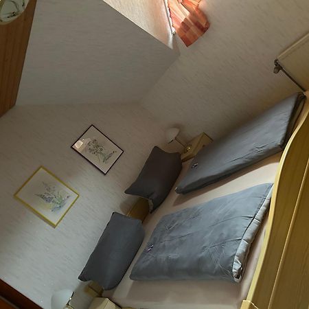 Appartamento Birke 9, 10 Oder 11 Todtmoos Esterno foto