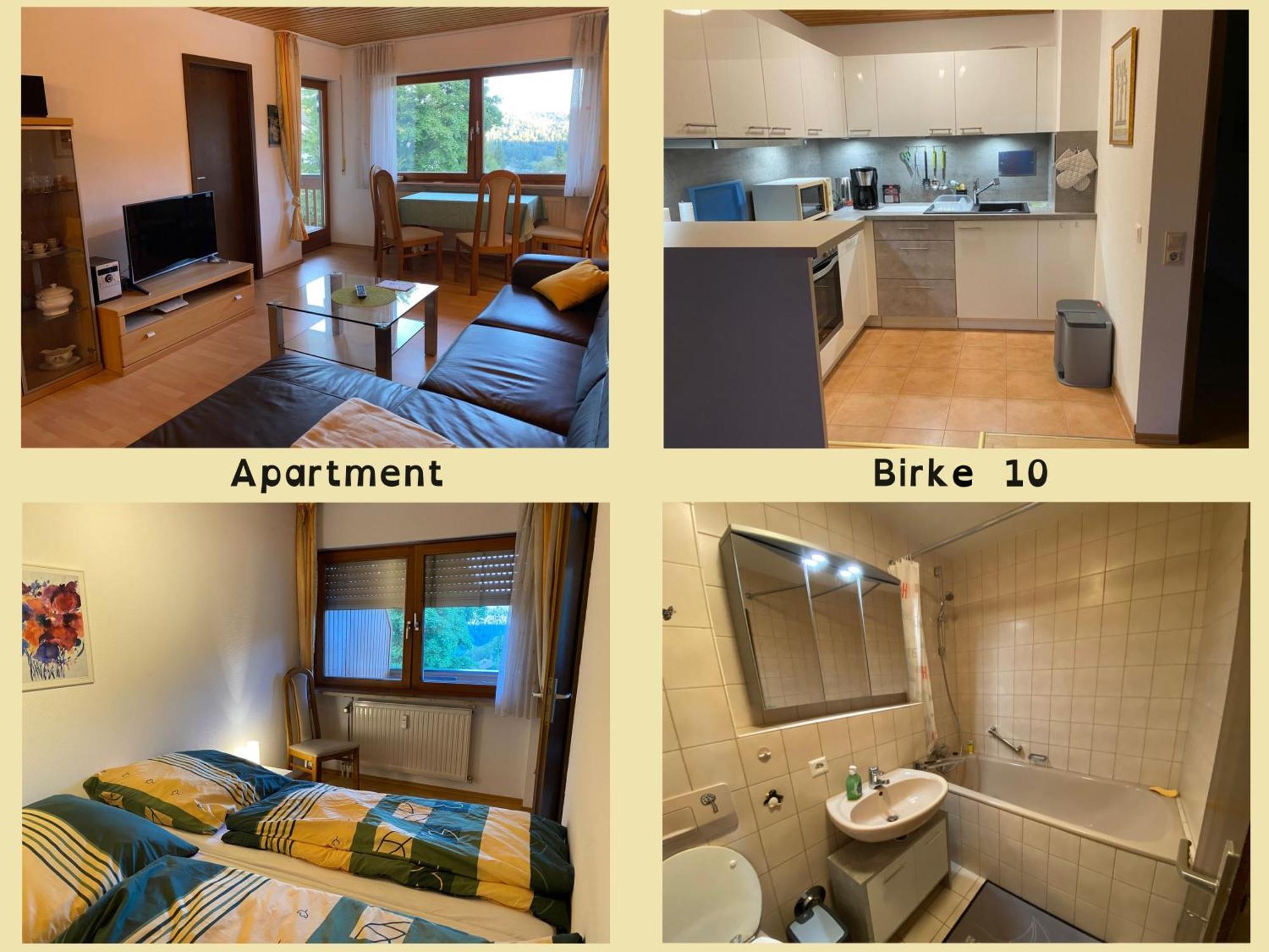 Appartamento Birke 9, 10 Oder 11 Todtmoos Esterno foto